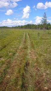 Mönkijän jäljet netti