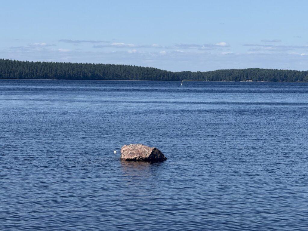 Miehen kohtalokas hyppy sillalta päättyi traagisesti