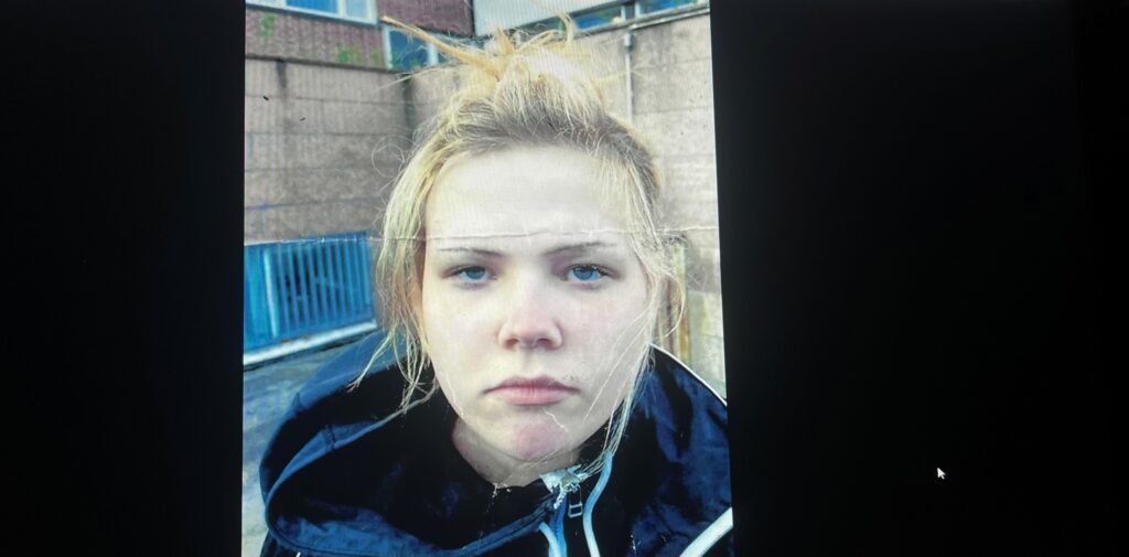 Poliisi etsii kadonnutta teinityttöä
